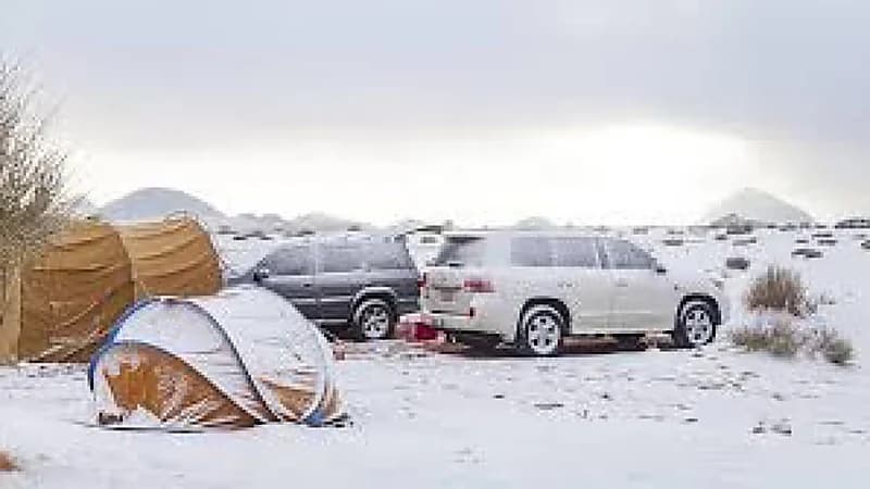 الحصيني : برد يناير شديد وهناك احتمال لهطول الثلوج هذا العام