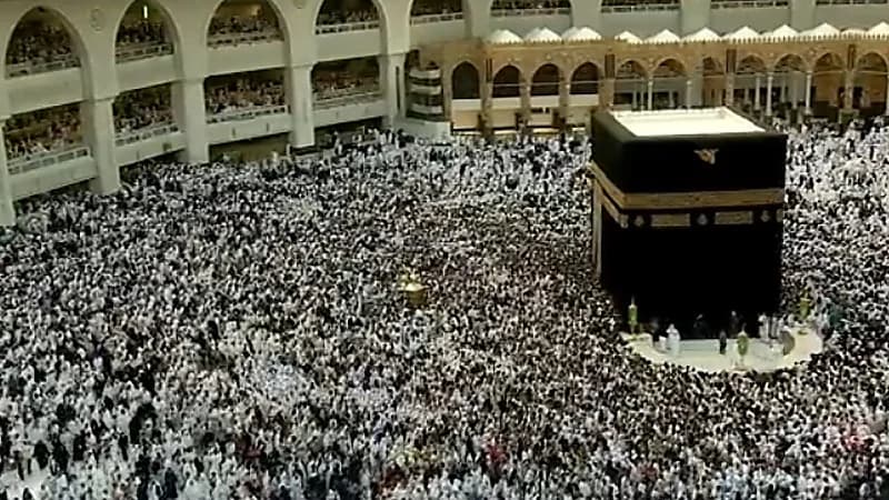 مشهد يخطف الأنظار والقلوب لأفواج المعتمرين وسط تنظيم متقن لخدمتهم