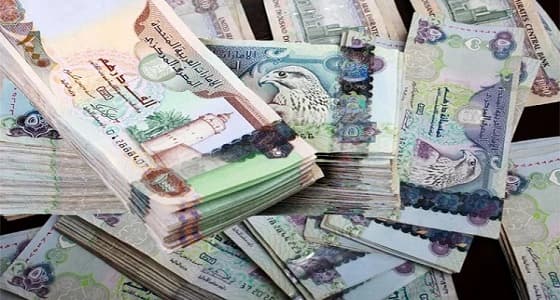 باحترافية عالية.. عربي يسرق مليون و 800 ألف درهم إماراتي
