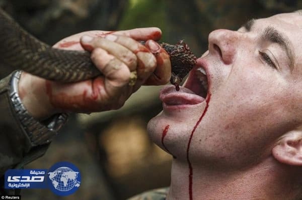 بالصور.. أهالي هذه البلدة يشربون دماء الأفاعي .. والسبب!