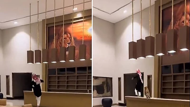 شباب يمازحون صديقهم بإطلاق نمر عليه .. فيديو