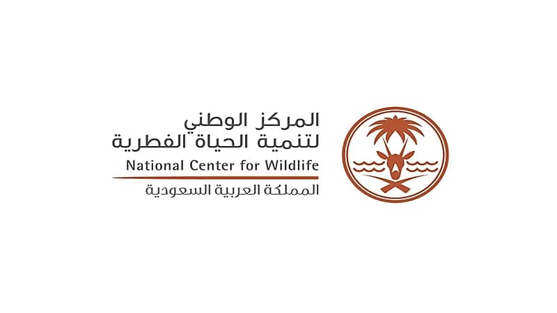 الحياة الفطرية ينفي إطلاق ذئاب في شقراء