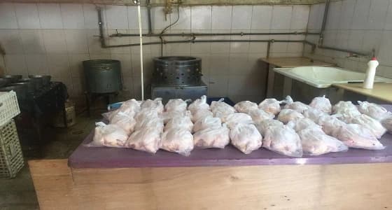 بالصور.. إغلاق حوش مخالف لبيع وذبح الدواجن جنوب الطائف