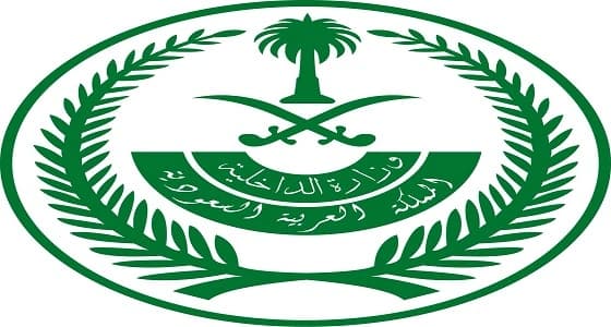" الداخلية " تعقد مؤتمراً صحفياً عن إجراءات تطوير المرور غداً
