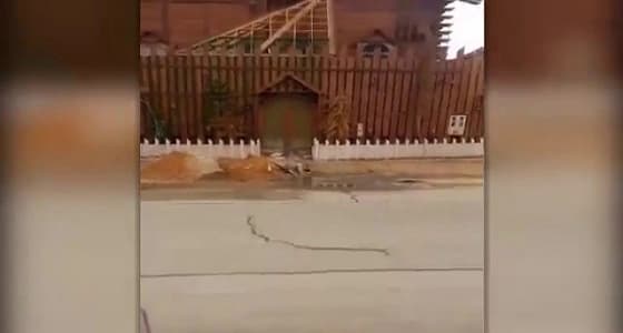 مواطنان ينشآن كوخا ريفيا مطابقا للمعايير الدولية والمحلية