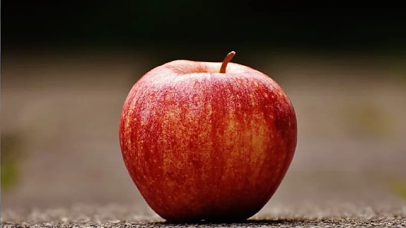 الشهري: تناول تفاحة واحدة يوميا يقلل أسباب الوفاة.. فيديو