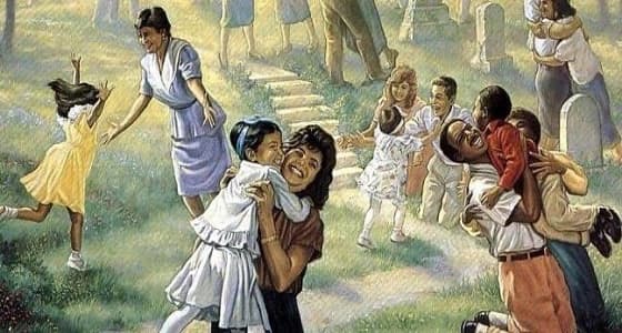 " اللحظات الأولى في السماء " حقيقة الصورة التي أشعلت مواقع التواصل