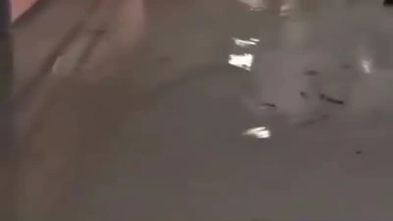 إعصار شيدو يغرق المستشفى الوحيد بجزيرة مايوت الفرنسية ويودي بحياة 14 شخصًا .. فيديو