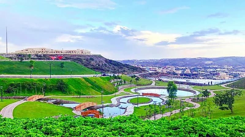 مواطن يعفو عن داهس ابنته في الباحة