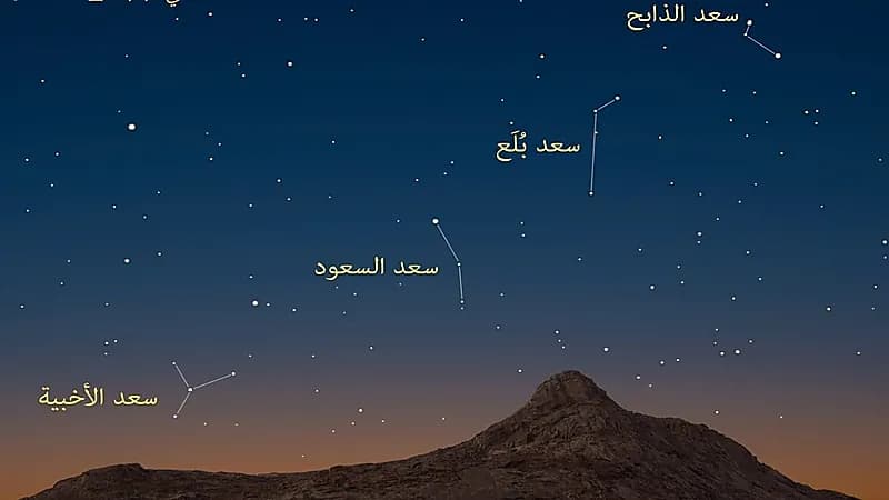 المسند: اليوم دخول طالع سعد الذابح