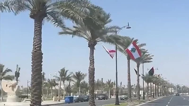 أعلام الدول العربية تزين طرقات جدة استعدادًا لاحتضان القمة العربية ..فيديو