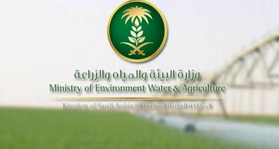 البيئة: الانتهاء من تطهير بؤرة إنفلونزا الطيور في سوق العزيزية بالرياض