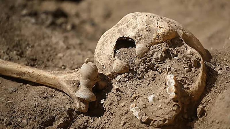 ‎العثور على بقايا بشرية داخل مسجد