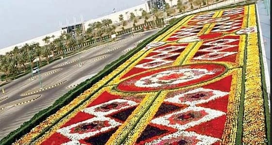ينبع تستعد لمهرجان الحدائق بمئات الآلاف من الزهور والحوليات