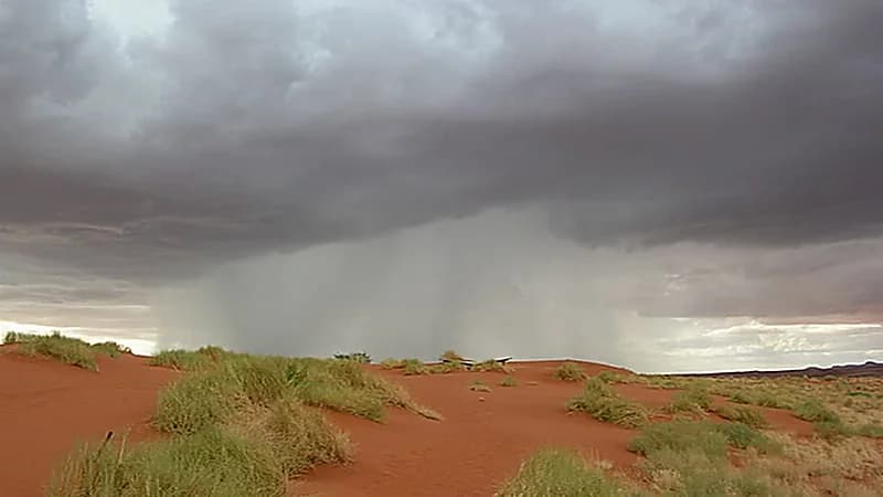 المسند: أمطار الهريف تسقط مع دخول سهيل وقبل الخريف