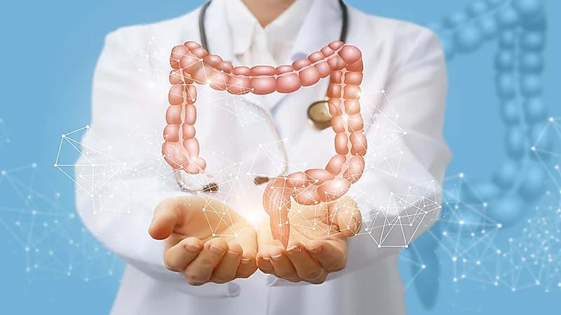 "سعود الطبية": بعض أنواع البكتيريا النافعة قد تلعب دورًا في الحماية من أمراض الجهاز الهضمي