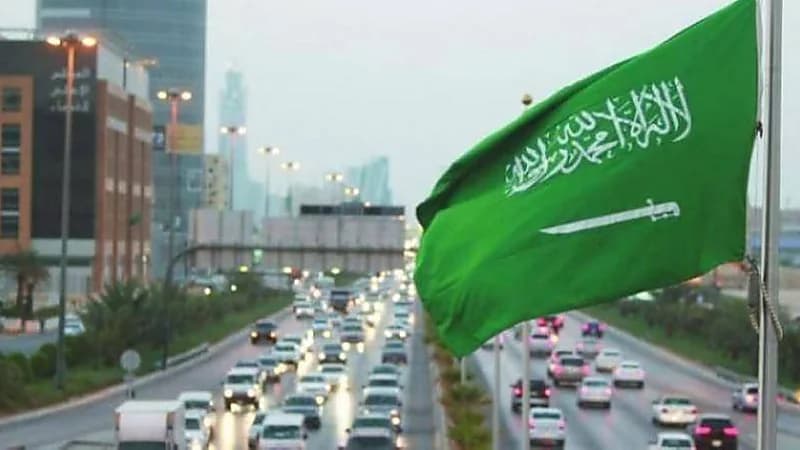 المملكة تُعلن خلوها رسميًا من مرض أنيميا الخيل المعدي