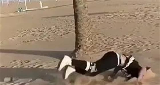 بالفيديو.. سقوط مروع لشاب حاول استعراض مهارته بالقفز