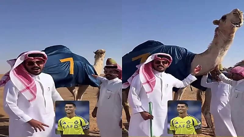 غازي الذيابي يسمي فحله الجديد الدون 7 حبًا في النصر ورونالدو .. فيديو