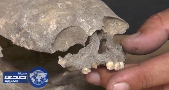 بالفيديو.. العثور على بقايا مخلوق فضائي