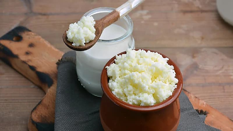 الخضيري: الكفير بديل مثالي للمكملات الغذائية.. فيديو