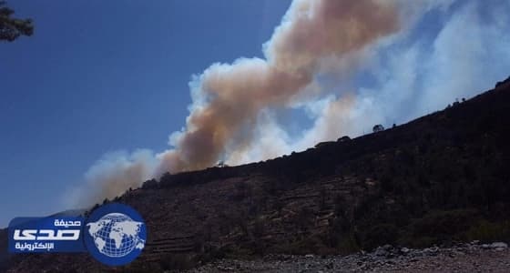 بالفيديو.. حريق هائل في جبال شعف آل ويمن بعسير