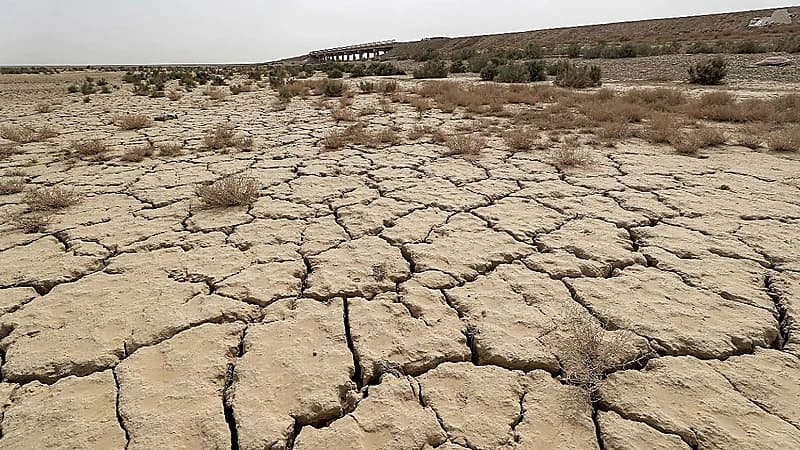 المسند: بقي على الحميمين 60 يومًا وإجازة الشتاء 35 يومًا