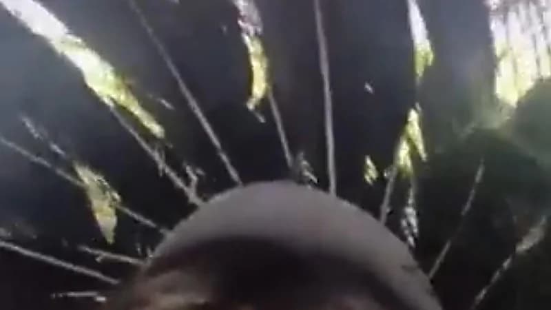 بالفيديو.. مشجع كويتي يتحسر على حظه في الملعب لوجود فتاة أمامه تحجب عنه الرؤية