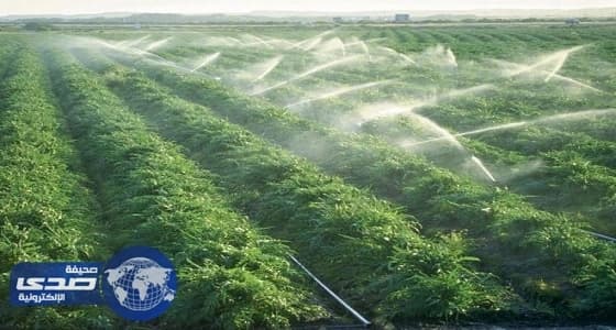 233 مليون ريال قيمة قروض صندوق التنمية الزراعية