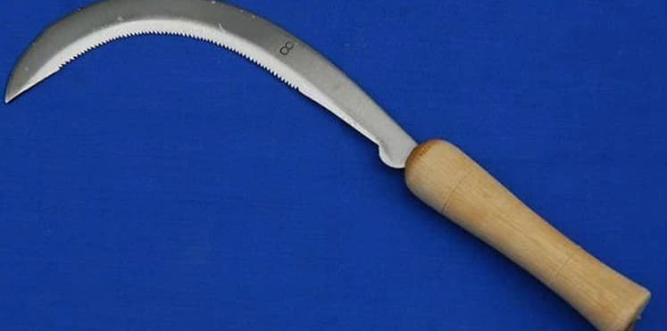 فتاة هندية تنتقم  من خطيبها ببتر عضوه التناسلي بمنجل