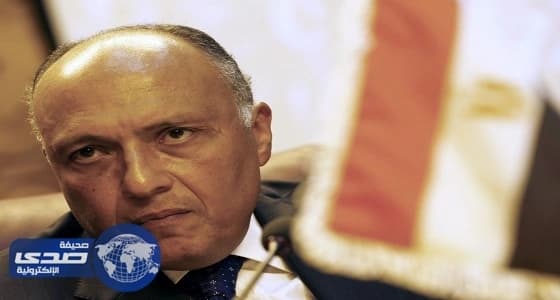 وزير الخارجية المصري يلتقي عددًا من المسؤولين الأفارقة في أديس أبابا