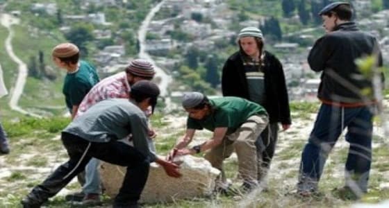 مستوطنون يقتحمون المسجد الأقصى وسط حراسة مشددة