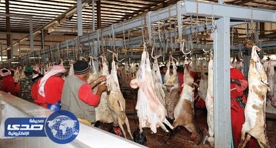 إقبال كبير على مسالخ العاصمة المقدسة