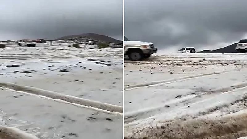 مشهد لبردية جبل اللوز في تبوك .. فيديو