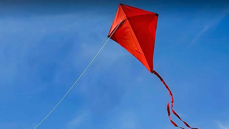 طائرة ورقية تتسبب في مقتل شاب بمصر