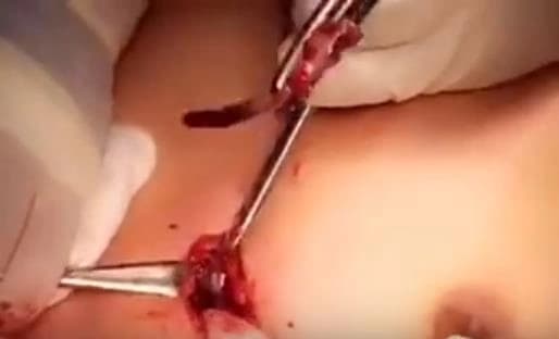 وفاة والد الفنانة السورية سلاف فواخرجي