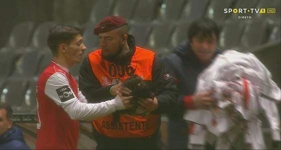 بالصور.. "  دجاجة " تقتحم ملعب كرة قدم بالبرتغال