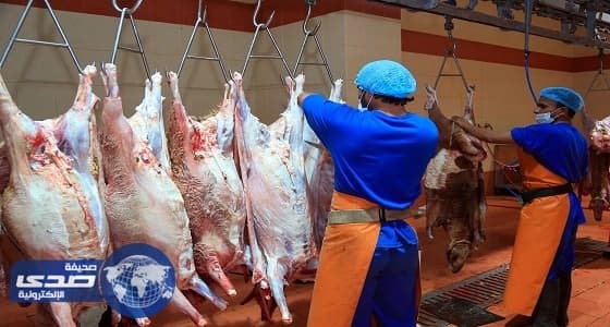 مسلخ بريدة يستقبل أكثر من 3 آلاف ذبيحة خلال أيام العيد