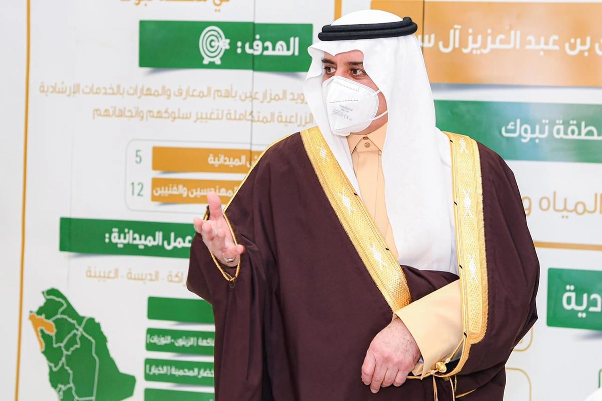 بالفيديو.. شاب يترك العمل للتفرغ لمغامرات تسلق الجبال