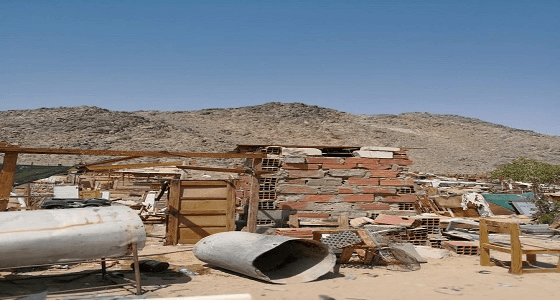 بالصور.. " العمرة الفرعية " تزيل 530 من حظائر الأغنام