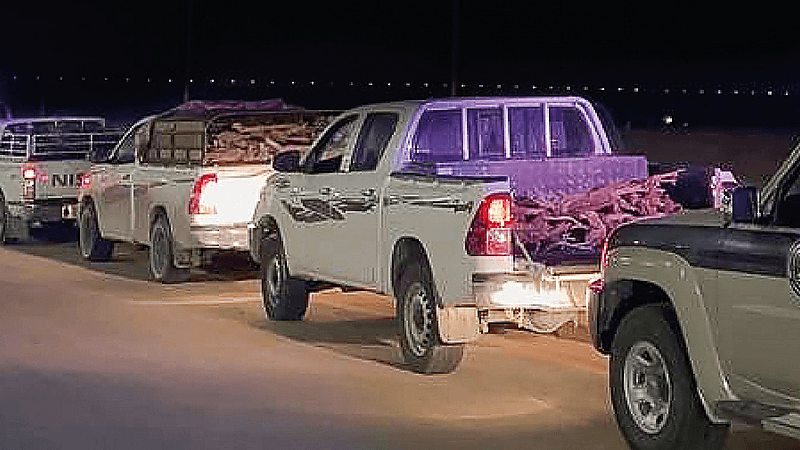 ضبط 3 مخالفين بحوزتهم حطب محلي معروض للبيع في المنطقة الشرقية