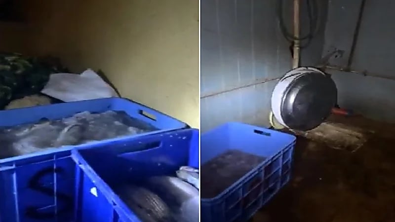 بالفيديو .. ضبط عمالة خزنت الأسماك والروبيان داخل دورات المياه بالرياض