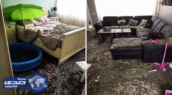 شباب يحولون منزل صديقهما لحديقة حيوان كهدية زفاف