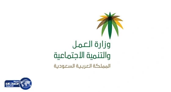 وفد " العمل " يبحث تفعيل الربط الإلكتروني مع مصر لتشغيل العمالة