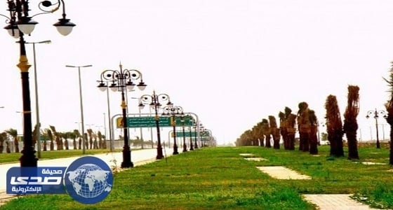 زيجة تكتمل بعد الموافقة على شرطاً غريباً بجازان