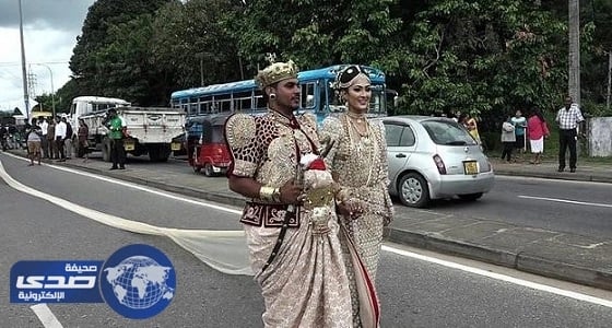 بالفيديو.. هبوط اضطراري لطائر وطائرة في مطار ميامي