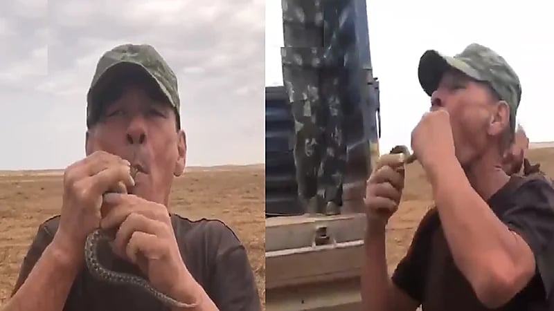 بالفيديو.. وفاة خمسيني حاول ابتلاع أفعى سامة