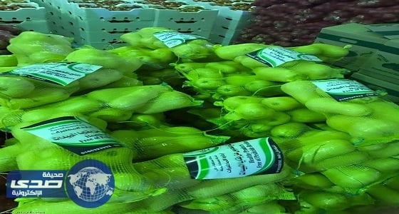 بلدية حائل تضبط 1600حبة خضار غير صالحة للاستخدام الآدمي