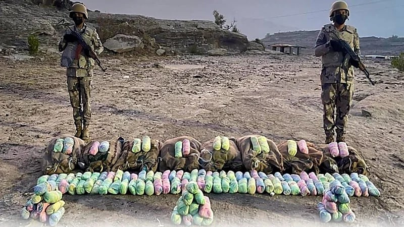 إحباط محاولة تهريب 135 كيلوجرامًا من نبات القات المخدر بجازان