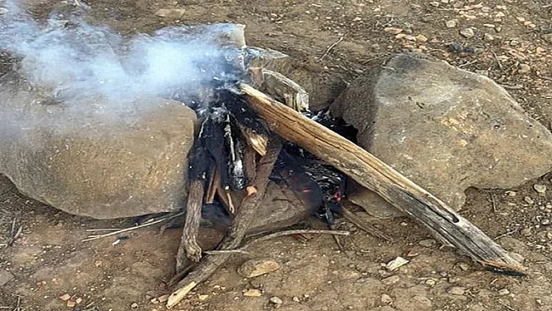 ضبط مواطنين مخالفين لنظام البيئة